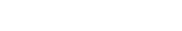 Aebi Schmidt Group